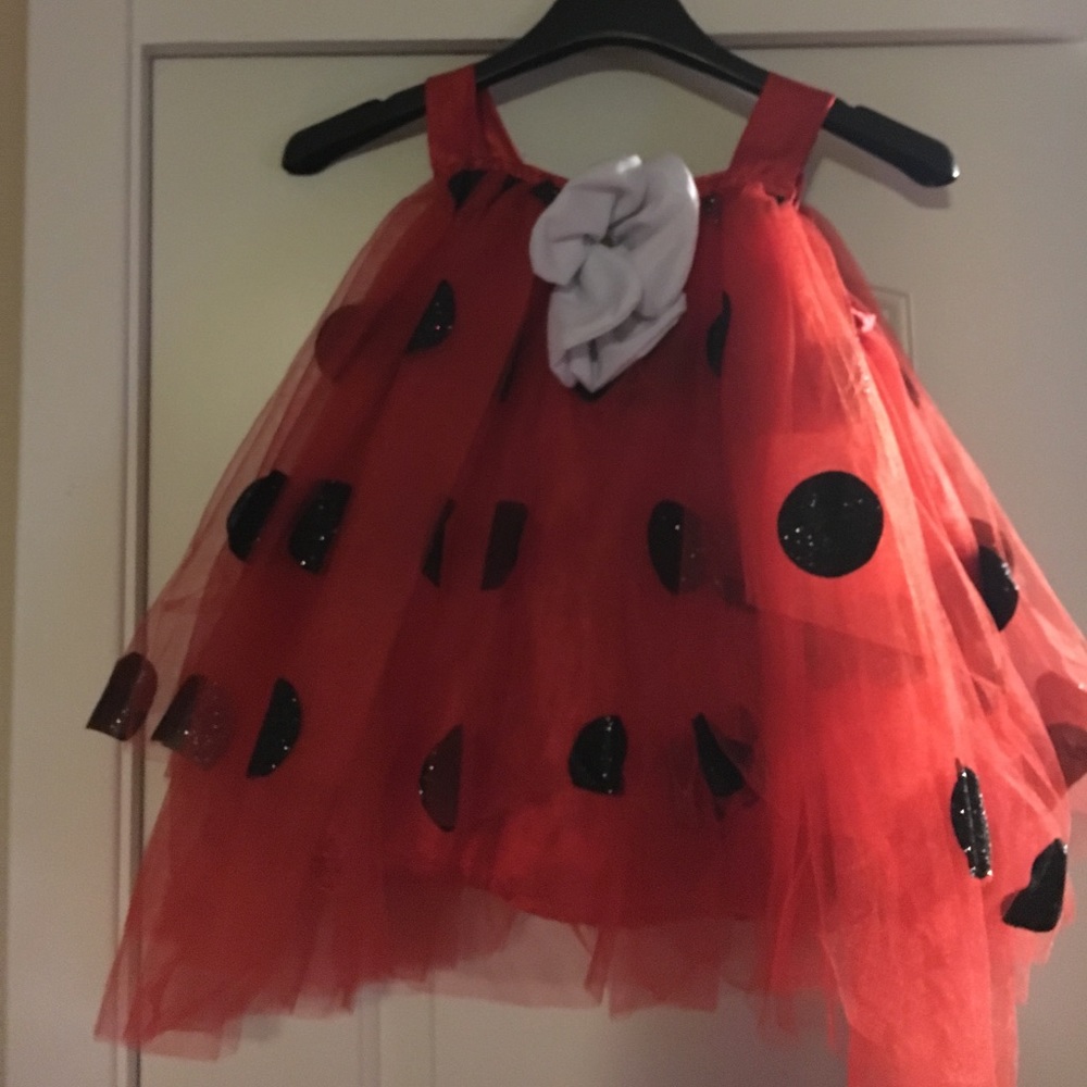 Kids Halloween costume (ladybug)