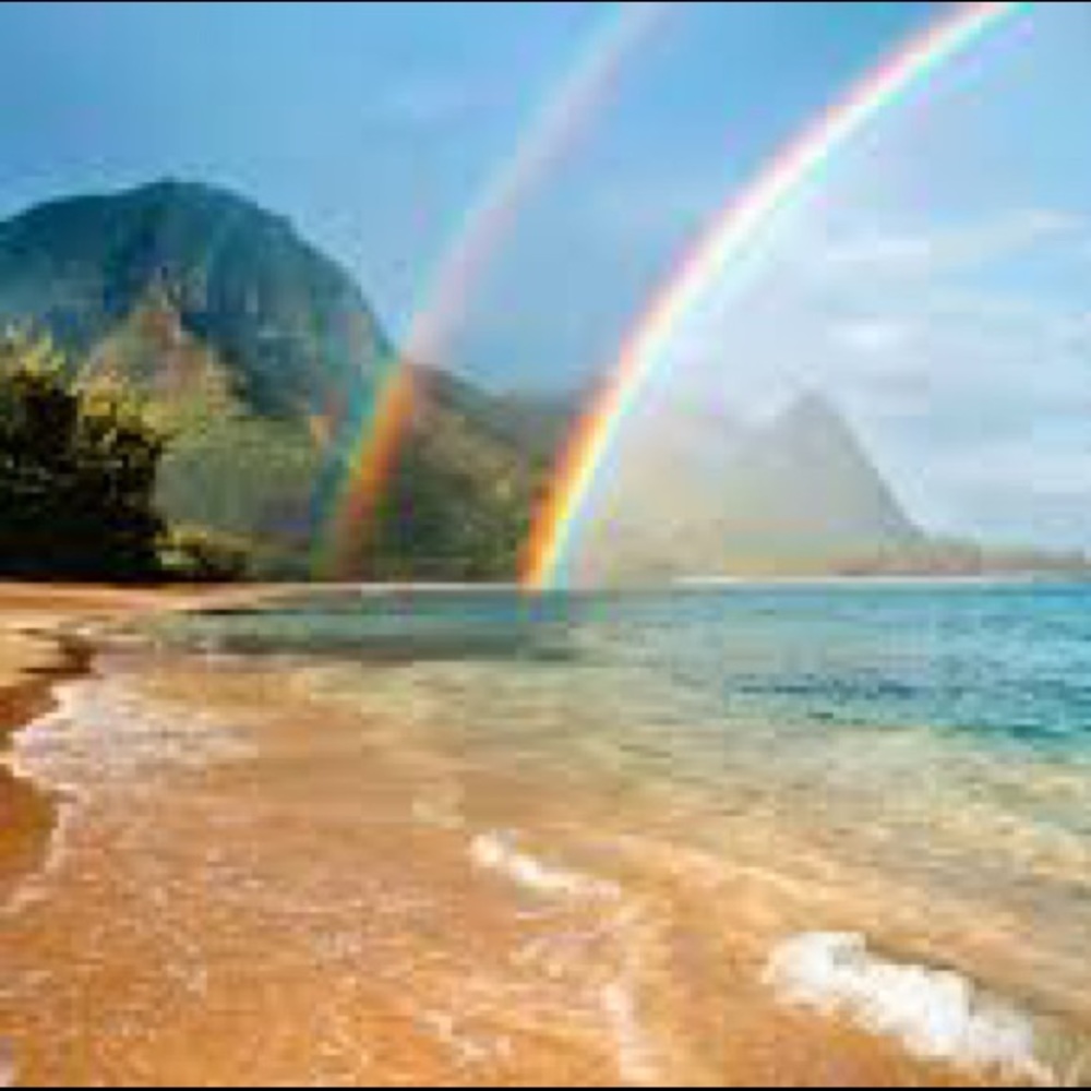 Meet your Posher, Maggie