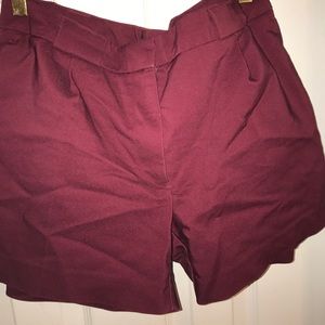 Burgandy dress Shorts