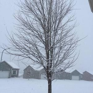 Meet your Posher, Duy