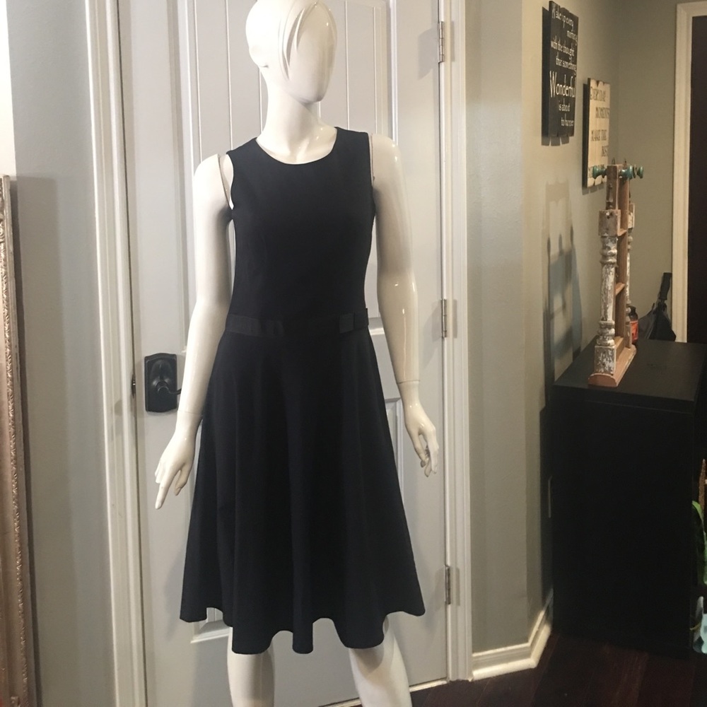Banana Republic Dress 2