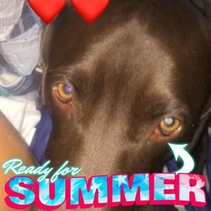 Meet your Posher, Joseph