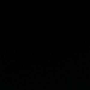 Meet your Posher, Ariel