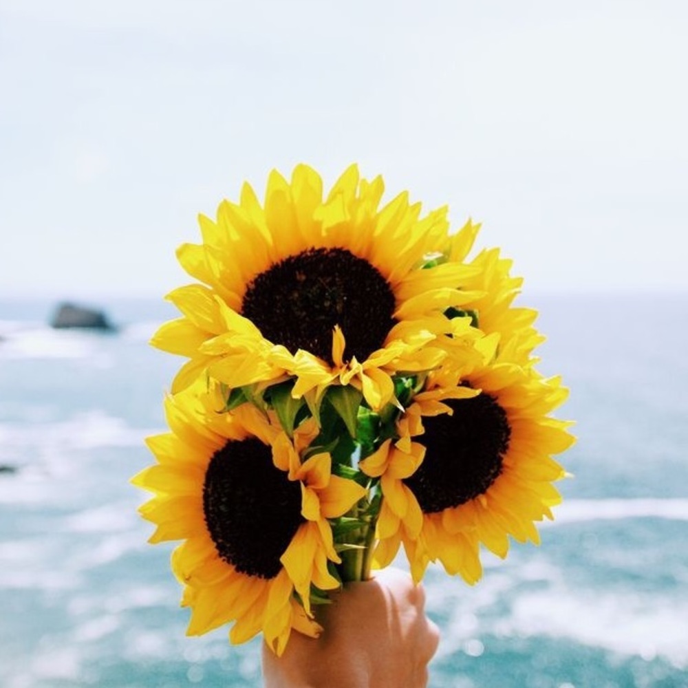 Meet your Posher, Jenny