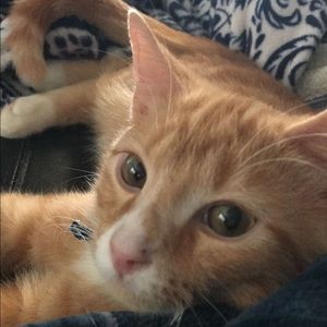 Meet your Posher, Zoe