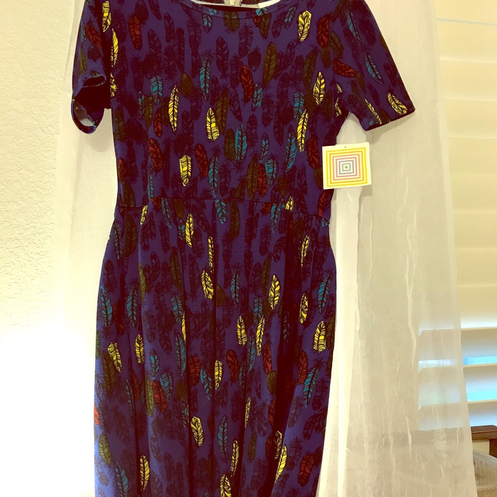 LulaRoe Amelia dress