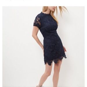 AX Paris Navy Shift dress with Navy lace overlay.
