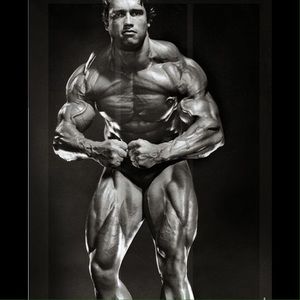 Meet your Posher, Alan