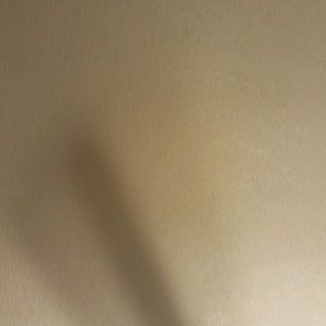 Meet your Posher, Leonel