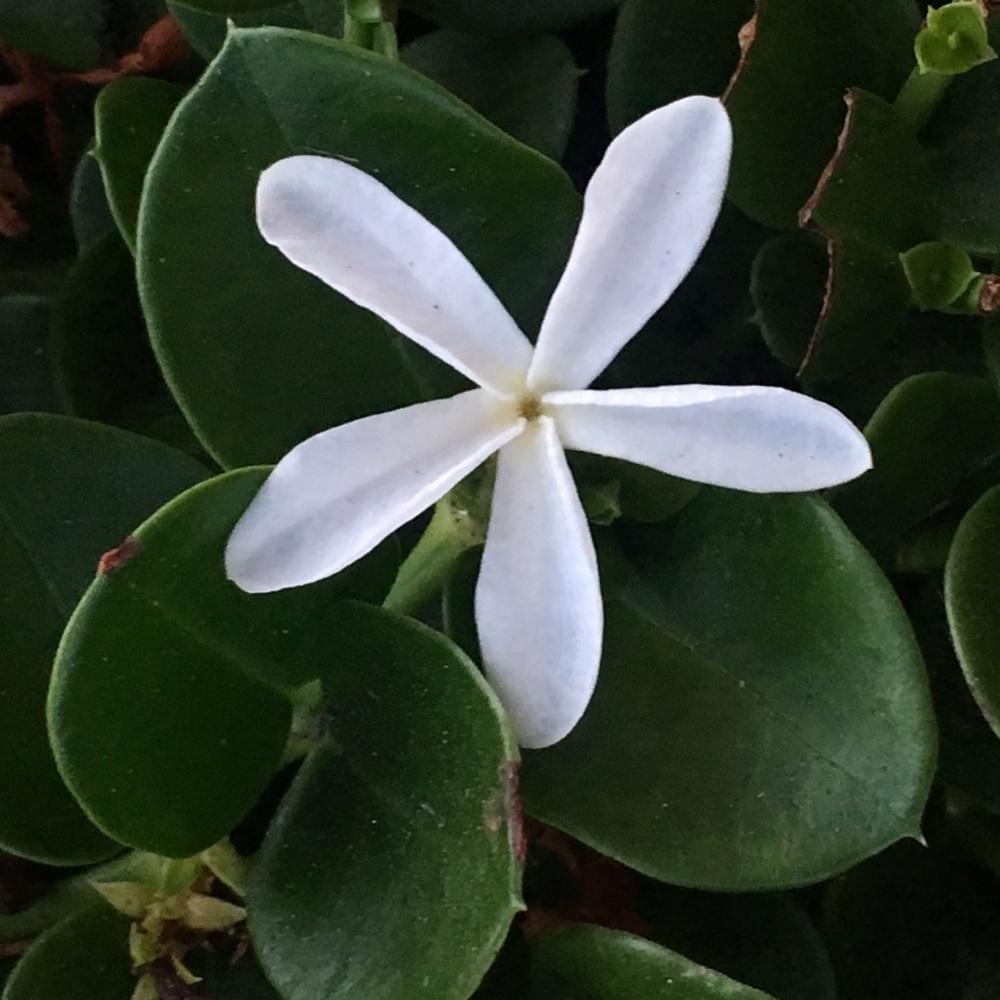 Meet your Posher, Kat