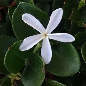 Meet your Posher, Kat