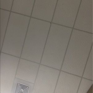 Meet your Posher, Melea