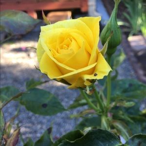 Meet your Posher, Long