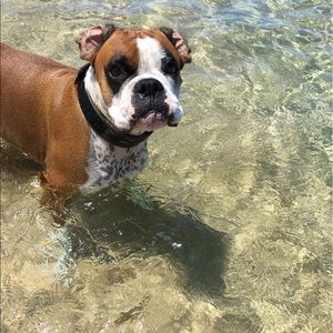 Meet your Posher, Mary