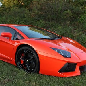 Meet your Posher, Shedrick