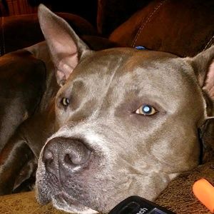 Meet your Posher, Kara