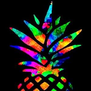 Meet your Posher, Will