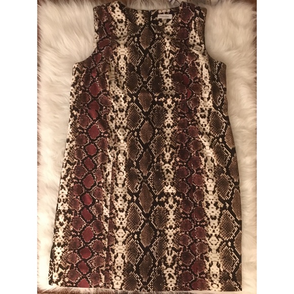 Calvin Klein Dresses & Skirts - Calvin Klein Snakeskin Shift Dress Plus Size