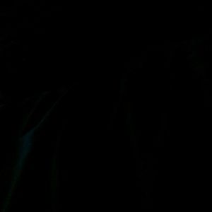 Meet your Posher, Evelyn