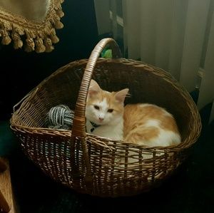 Meet your Posher, Susan