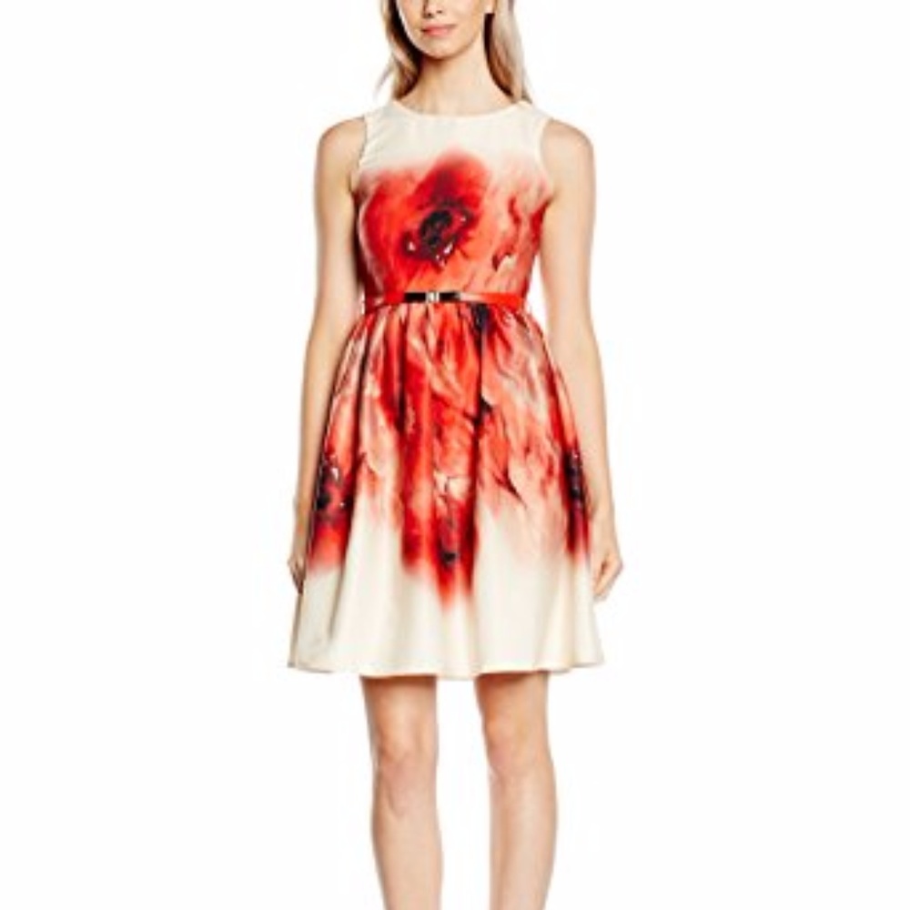 Little Mistress Poppy Print Dress Fit Flare 10