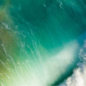 Meet your Posher, Maggie