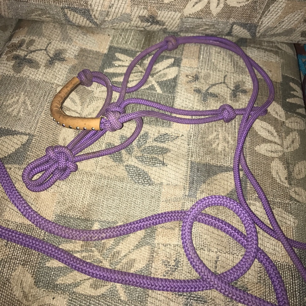 Purple horse rope halter