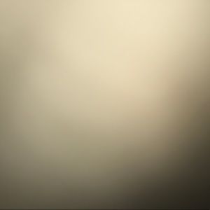 Meet your Posher, Brandonlee