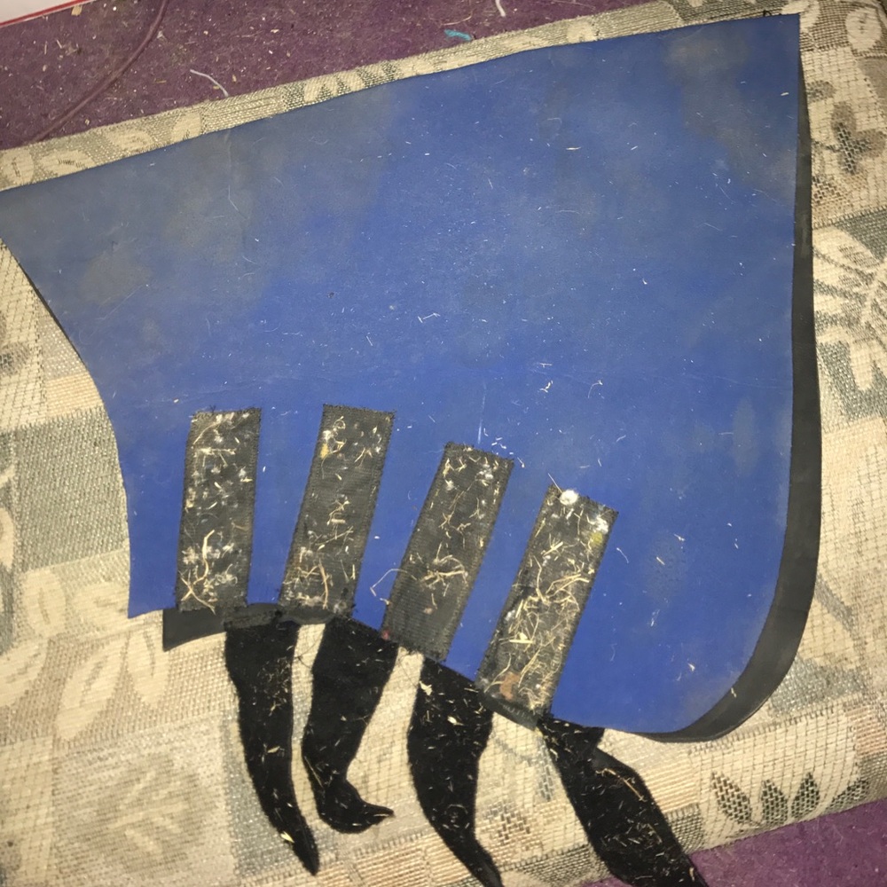 Neck sweat for a horse