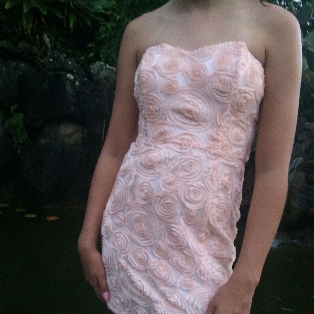Lush XS pink lacey rose dress