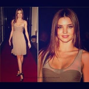 Burberry Silk and Mesh Party or Formal Dress