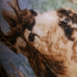 Meet your Posher, Wesley