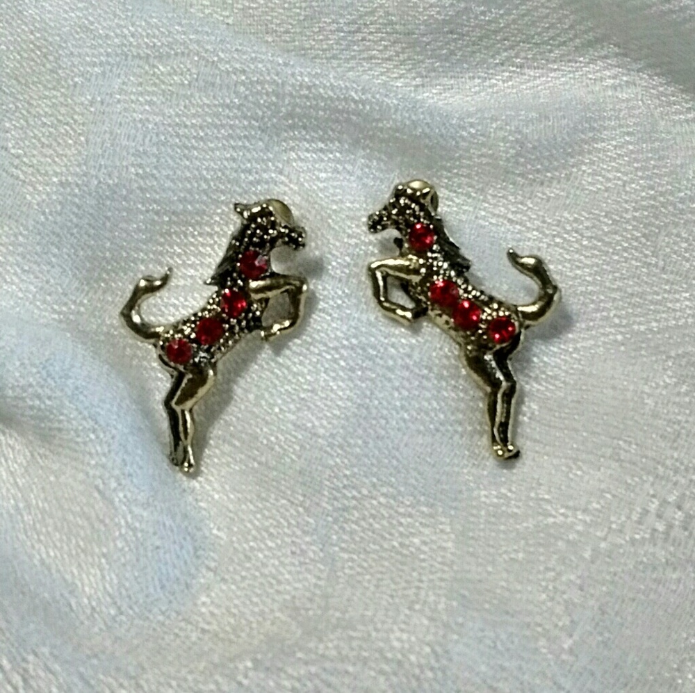 Cute 🏇 Horse 🏇 Earrings
