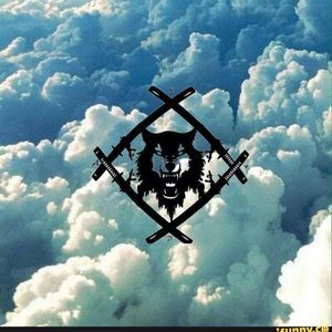 Meet your Posher, Frankie