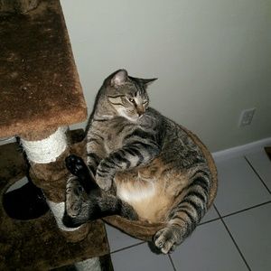 Meet your Posher, Stephen