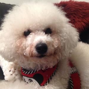 Meet your Posher, Isao