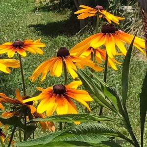 Welcome to my closet 🌺🌻💕