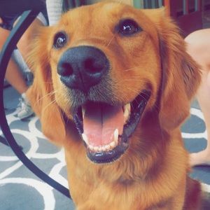 Meet your Posher, Emma