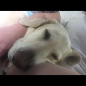 Meet your Posher, Sonya