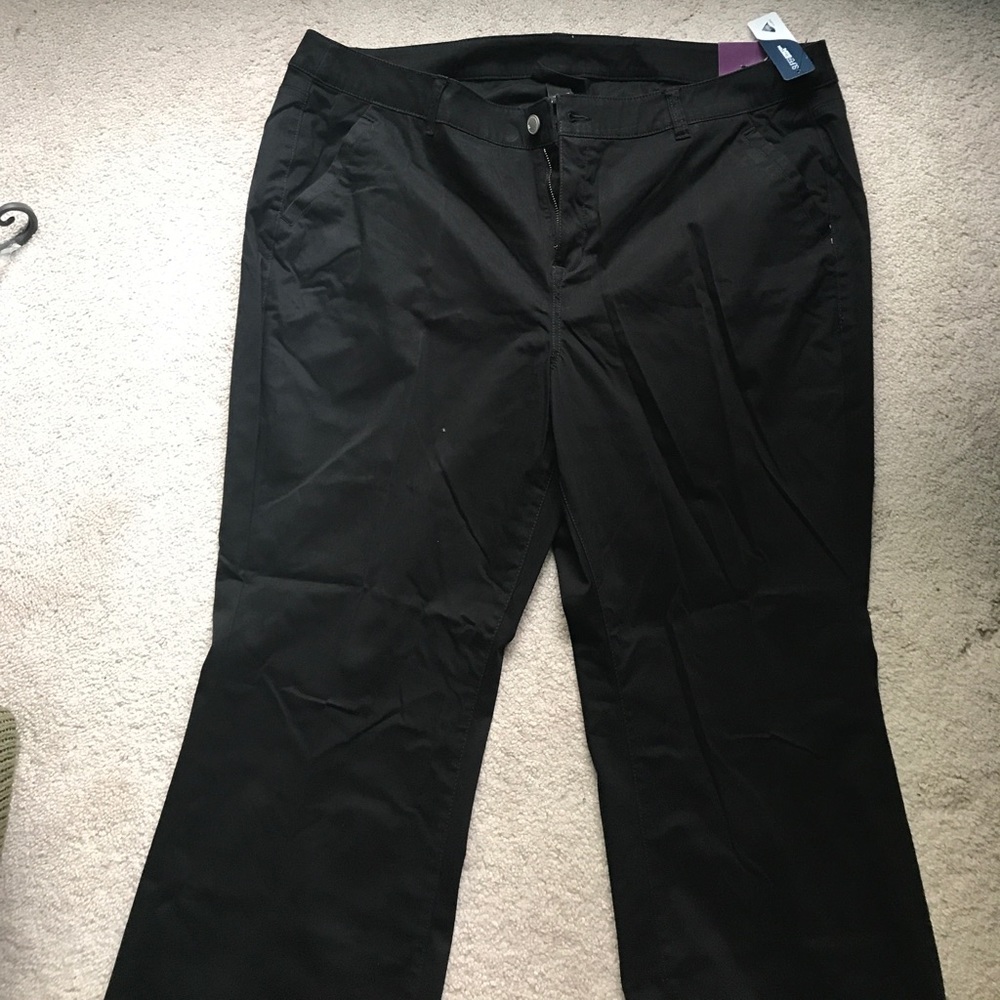Lane bryant pants