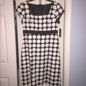 NWT black and cream dress
