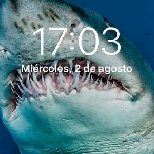 Meet your Posher, Donaldo