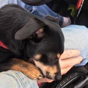 Meet your Posher, Lisa