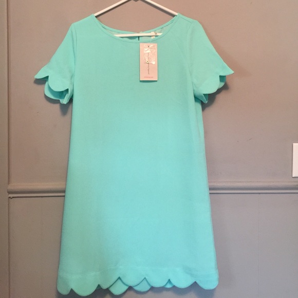 mittoshop Dresses & Skirts - Mint Dress new with tags