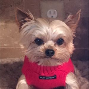 Meet your Posher, Beverly