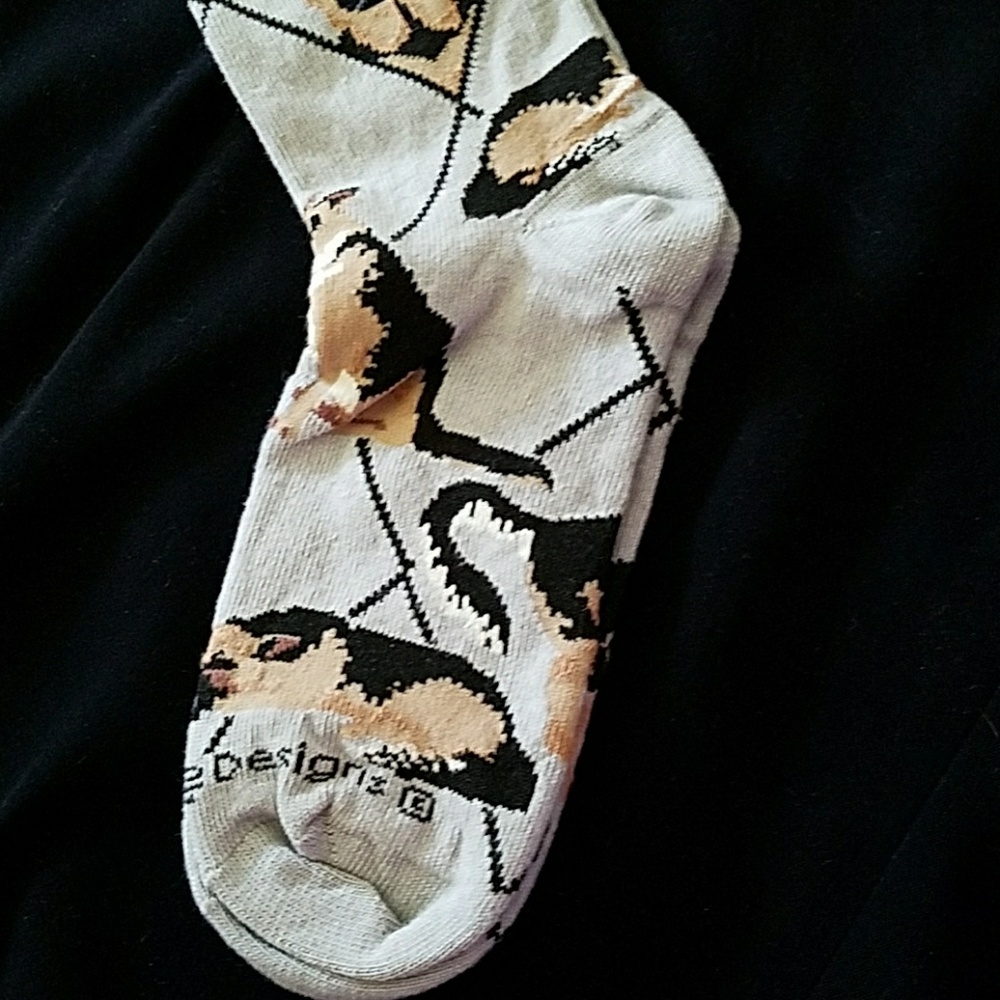 Only 1 left 🐕NEW German Shepherd socks - Picture 3 of 6