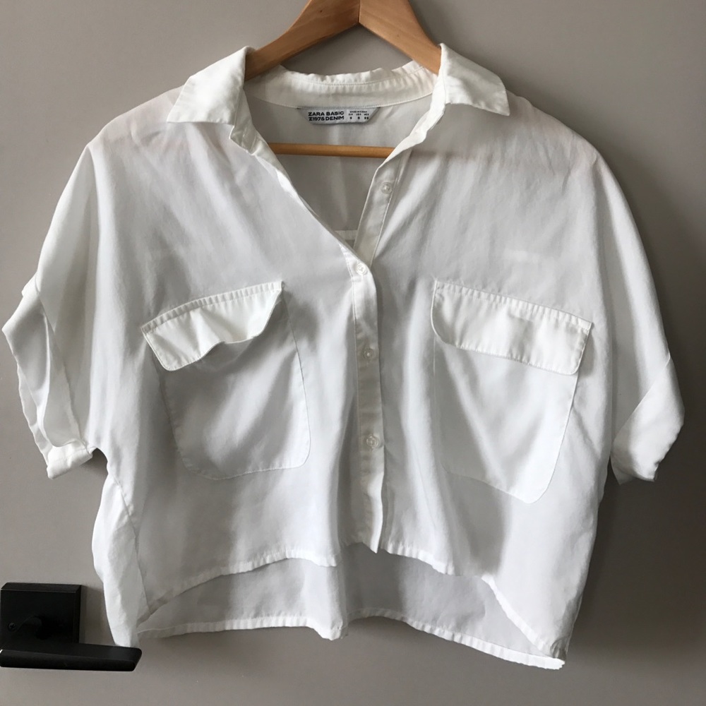 Zara crop top