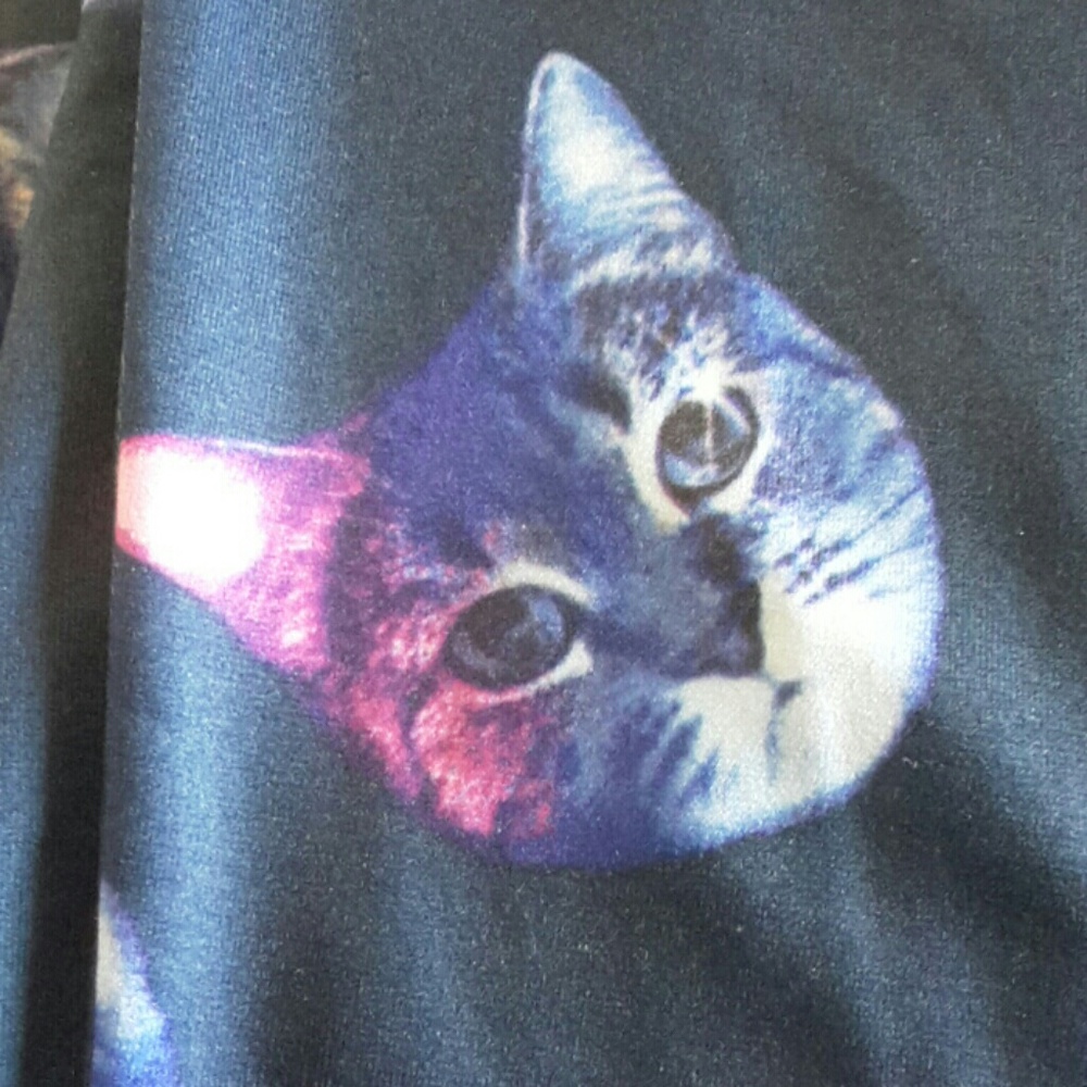 Cat leggins