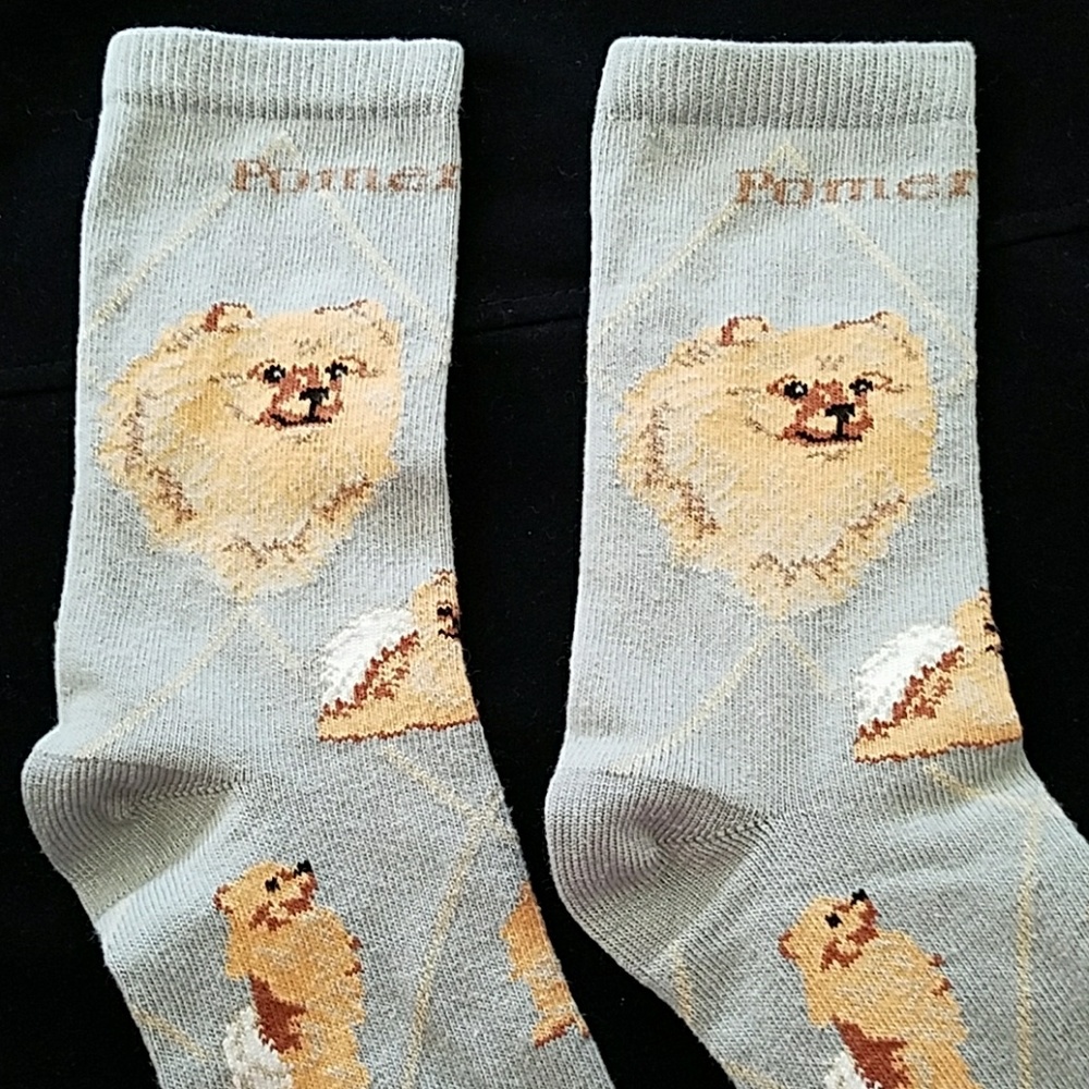Only 1 left 🎉New POMERANIAN socks - Picture 3 of 7