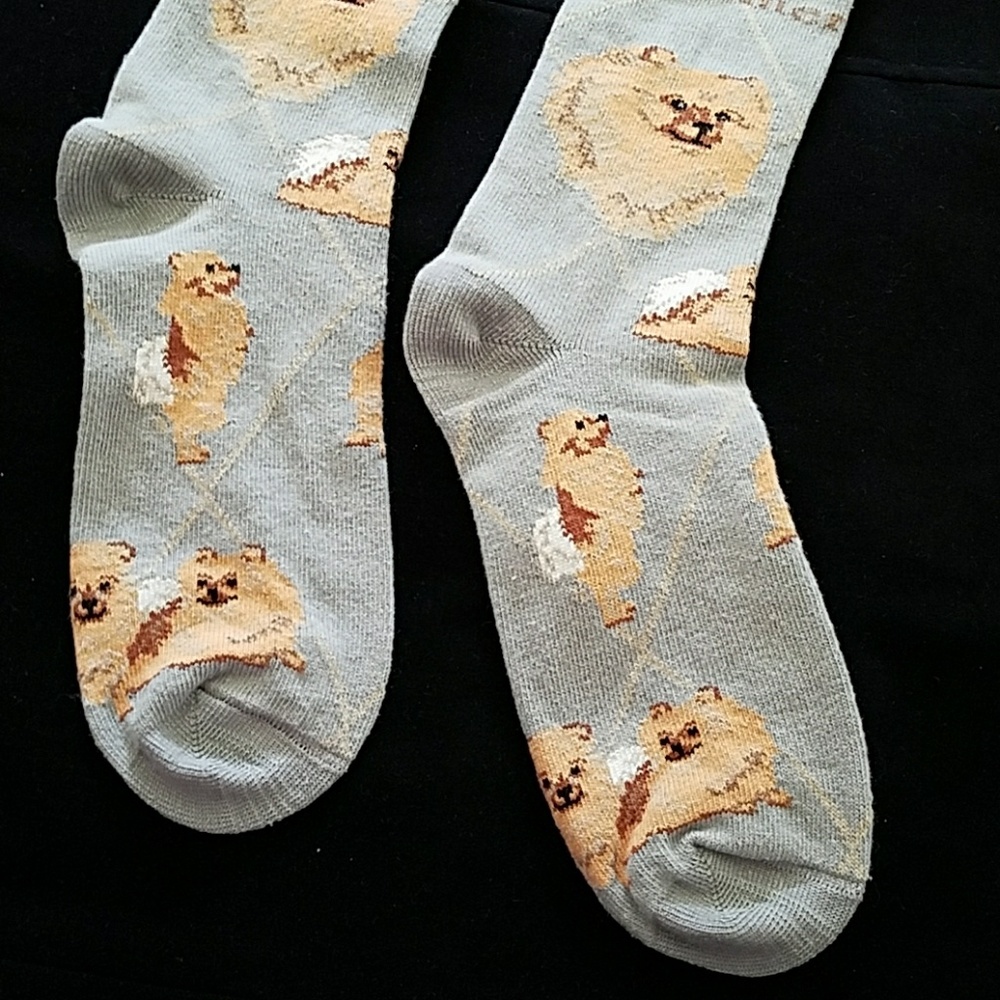 Only 1 left 🎉New POMERANIAN socks - Picture 4 of 7